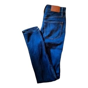 Madewell 10" high rise skinny jean